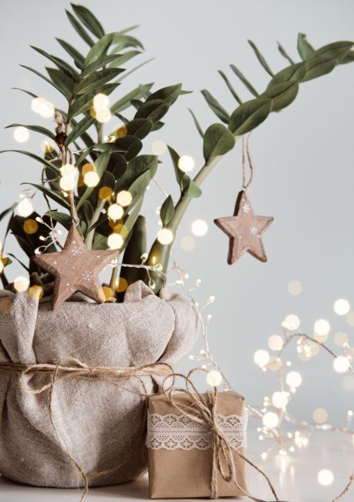 Öko-Geschenke von VAMZ Shop